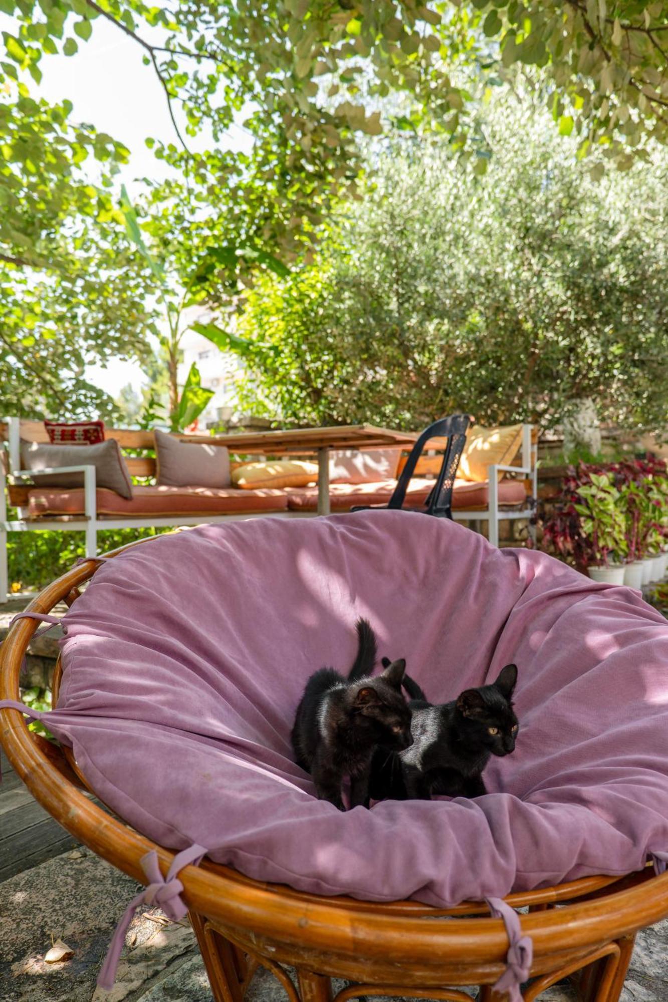 Villa Green Garden Saranda Dış mekan fotoğraf