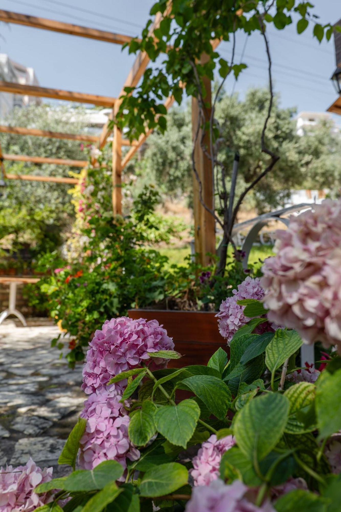 Villa Green Garden Saranda Dış mekan fotoğraf